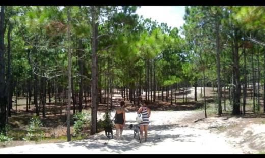 Camping Novas Palmeiras Florianópolis Extérieur photo