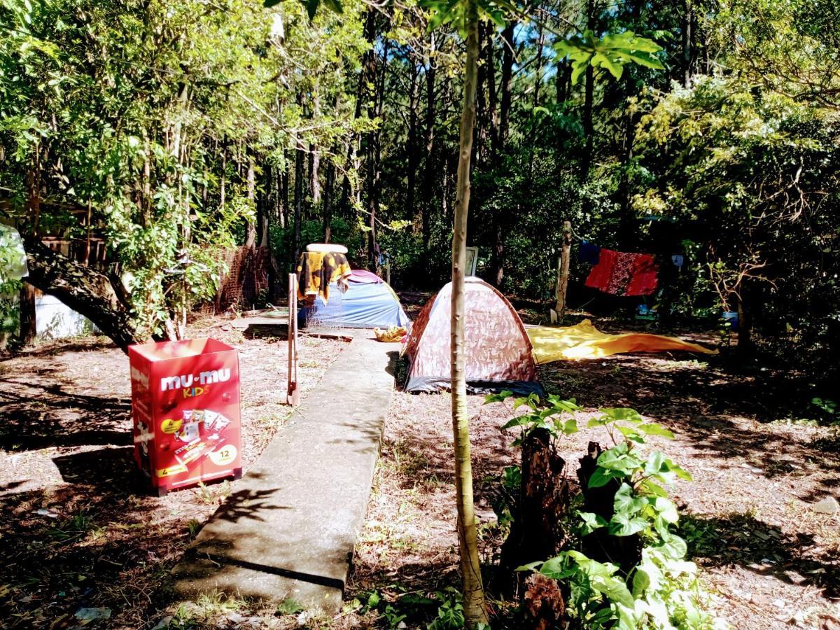 Camping Novas Palmeiras Florianópolis Extérieur photo